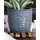 Palm Spring 7.5" Honey Comb Planter Dnm