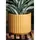 Palm Spring 5.5" Brush Comb Mst Planter