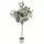Algreen 71" Eucalyptus