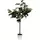 Algreen 67" Oak Tree