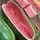 Watermelon, Jubilee - 1/2lb