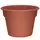 DLN 14.00 COLOR POT CL 20/CS 36CS/PL