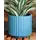 Palm Spring 8" Brush Comb Planter Dnm