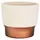 HC 7" Sprite Succulent Pot Vanilla Bisque