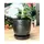 Verandah 5" Svr Maui Pot