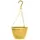 Grower Select 10.00 Everest Hanging Basket, With 18in Hanger, Blush Sunglow, 70 per Case, 10.08in OD x 6.99in H, 1.5 Gallon