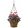 Deer Park Solera Hanging Basket With Coco Liner