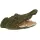 Dalen 16.8" Floating Alligator Open Mouth Hand Painted