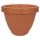 ITML CBU1550 15.50 CENTABELA PLNTR CLAY 12/CS 36/P