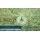Hunter Nozzle, 22 - 30' 360° Full Circle FNPT 2.88 - 4.27 gpm Gray | MP3000360
