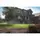Hunter MP Rotator Right Corner Strip Rotary Nozzle 5' x 15' | MPRCS515