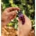 1/2" or 3/4" x 1/4" Self-Piercing Barb x Barb 2 gph Plastic Red XB Series Pressure Compensating Low Flow 100/Inner Carton Drip Emitter | RBXXB20BULK