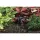 Hunter MSBN Multi-Stream Bubbler Nozzle Full Circle | MSBN10F