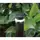 Toro FB-25-PC Pressure Compensating Flood Bubbler Nozzle 20 - 75 psi | 89-1727