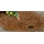 1.9 Lpm RZWS Series Root Zone Watering System | HTRRZWS1850R