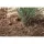 1/2" FPT 7 gpm Brown Irrigation Hose Riser | HTRIHRISER06