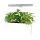 SunBlaster Nano Growlight Garden, w/ LED Grow Light, Timer and Adapter