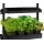 Sunblaster Micro T5 Grow Light Garden, Black