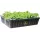 oxyCLONE PRO Series 80 Site Cloning System