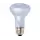 Agrosun Dayspot Incandescent Bulb, 60W