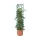 Heavy Duty Tomato Barrel w/Tower