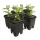 Active Aqua Grow Flow 2.0 Expansion Kit w/six 5 gal Square Pots