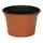 DLN 08.00X05.00 MUMPAN COEX TC/BLK 170/CS 45CS/PL