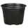 DLN 17.00 CM EURO POT COEX SHORT BLK 300/CS 32CS/P