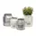 Deer Park 2pc Set Dairy Jug Cream & Galvanized