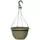 Grower Select 12.00 Boxwood Hanging Basket ACP Aged Cappuccino with Hanger 50/CS
