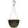 Grower Select 12.00 Boxwood Hanging Basket Mahogany with Hanger 50/CS