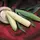 Corn, Silver Queen - 1lb