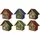 SuperMoss Beneficial Bug Hotel Heather Assortment