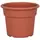 DLN 06.00 COLOR POT TL CL 98/CS SEASONAL 66CS/PL