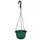 BLD 6.00 HANGING BASKET WITH SAUCER PLASTIC HANGER GREEN 6903021