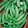 Peas, Sugar Snap - 1/2lb