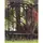 Panacea 84"x76"x26" Black Garden Arbor With Vines