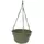 Bloem 12" Dura Cotta Hanging Basket Living Green