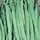 Beans, Mountaineer White Half Runner - 1/2lb