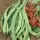 Beans, State Half Runner - 1/2lb