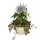 Bld 12.00 SL Hanging Basket W/MOCHA 19" FLEX HGR MOCHA 25/CS