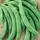 Beans, Volunteer Half Runner Treated - 1lb