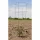 Midwest Wire Works 54" Heavy Duty Cage 4 Ring 4 Leg