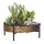 Panacea 10" Succulent Tray with Stand Hammered Copper Finsh