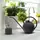 Panacea Mister & Watering Can Gift Pack Matte Black