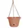 Bloem 13" Hanging Basket Terra Cotta