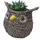 Gardener Select 7" Small Owl Rattan Rope Topiary 12/CS