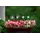 E-V 24pc Celestial Garden Critter Pot Stakes Asst
