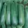 SQUASH, BLACK BEAUTY 1/2 LB EACH