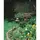 Panacea 36" Black Shepherds Hook